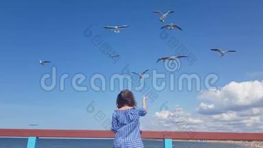 美丽的年轻女子站在码头上喂海鸥，海鸥在海边的飞行中喂海鸥，喂海鸥